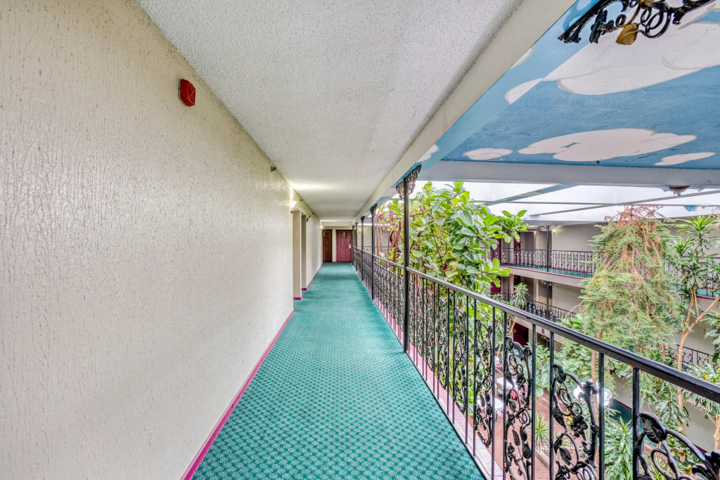 Hotel photo 19