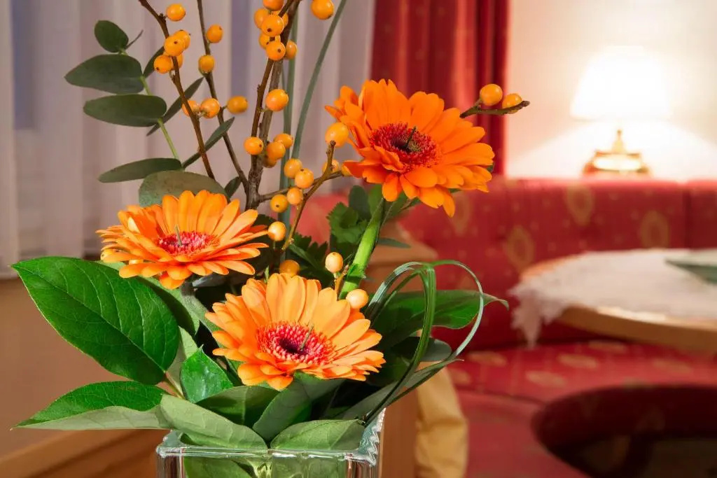Hotel Savoy - Chambres