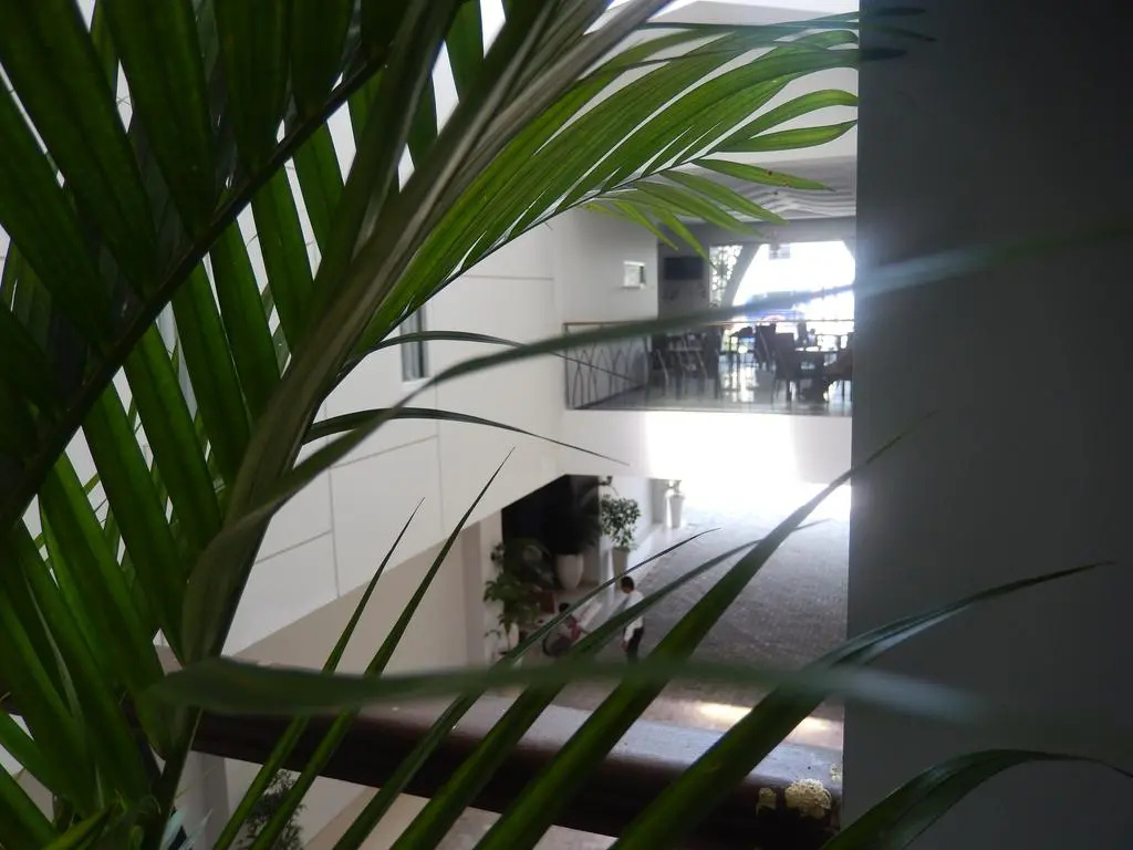Grand Amira Hotel - Général