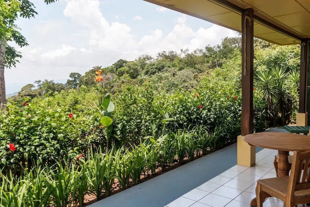 B&B Vista Atenas - фото 15