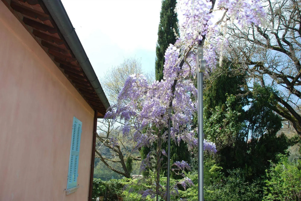 Il Rondo Boutique Hotel - Général