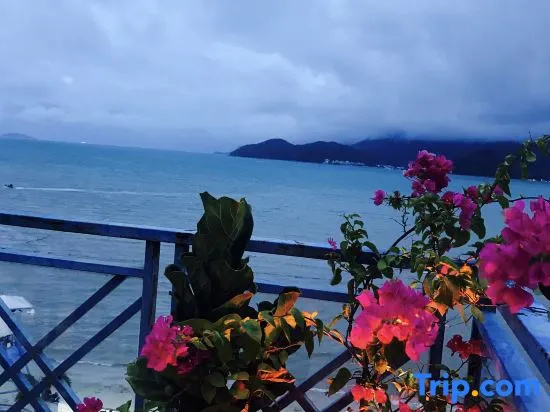 Beach & Waterfront
