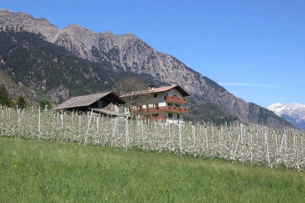 Mareinhof - Urlaub auf dem Apfelbauernhof