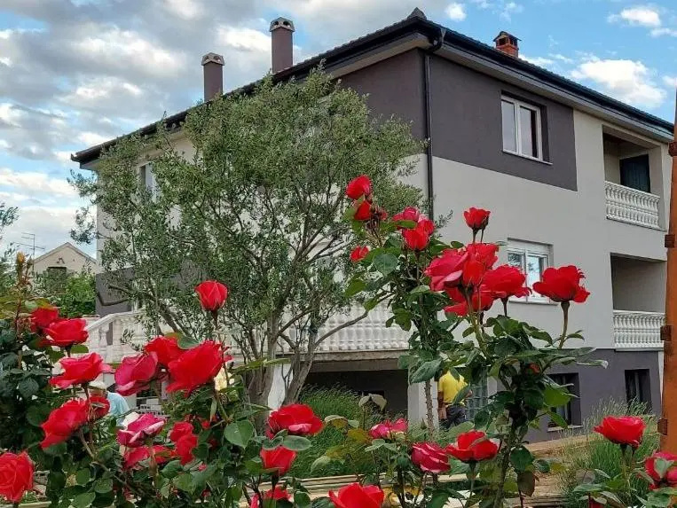 Apartments Krunes