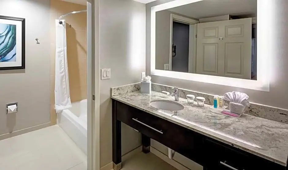 Homewood Suites by Hilton San Jose Airport-Silicon Valley - Chambres