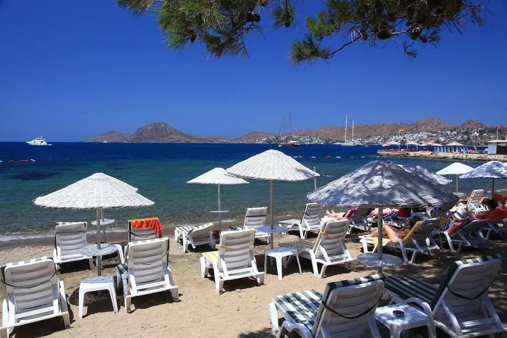 Beach & Waterfront
