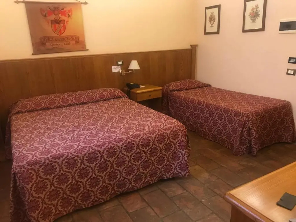 Standard Triple room