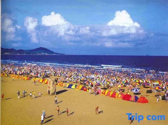 Beach & Waterfront