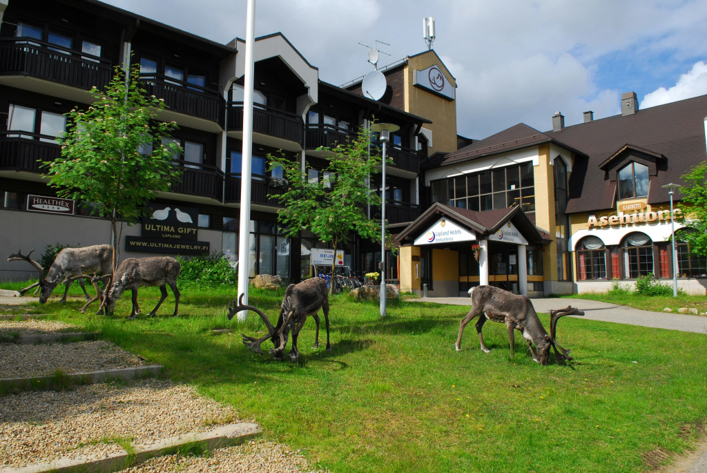 Lapland Hotels Riekonlinna - Général