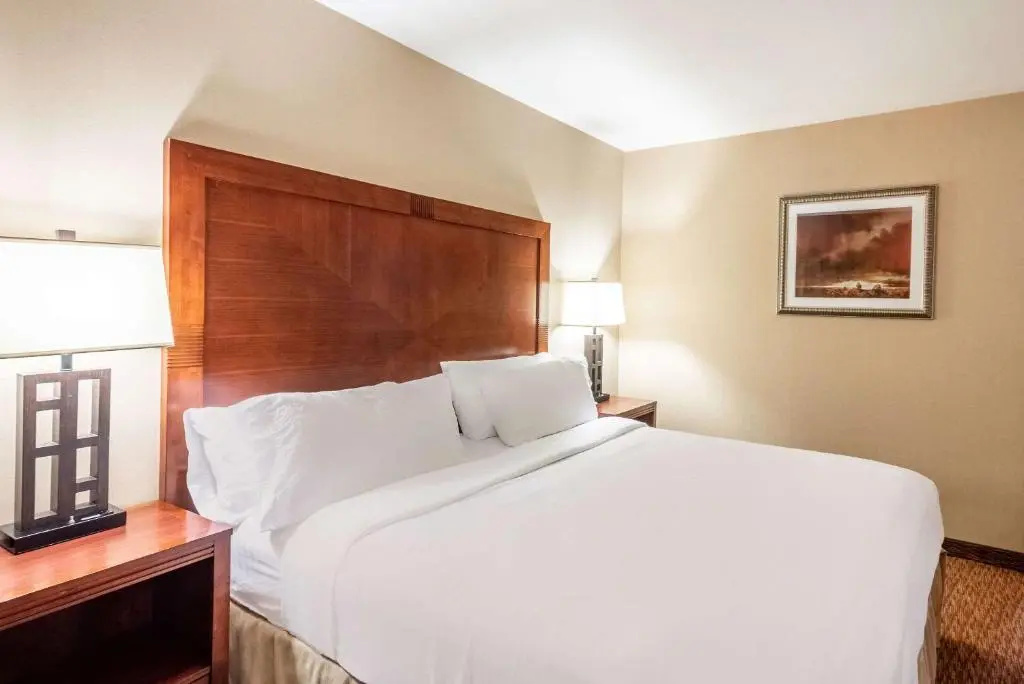 Holiday Inn Frisco by IHG - Chambres