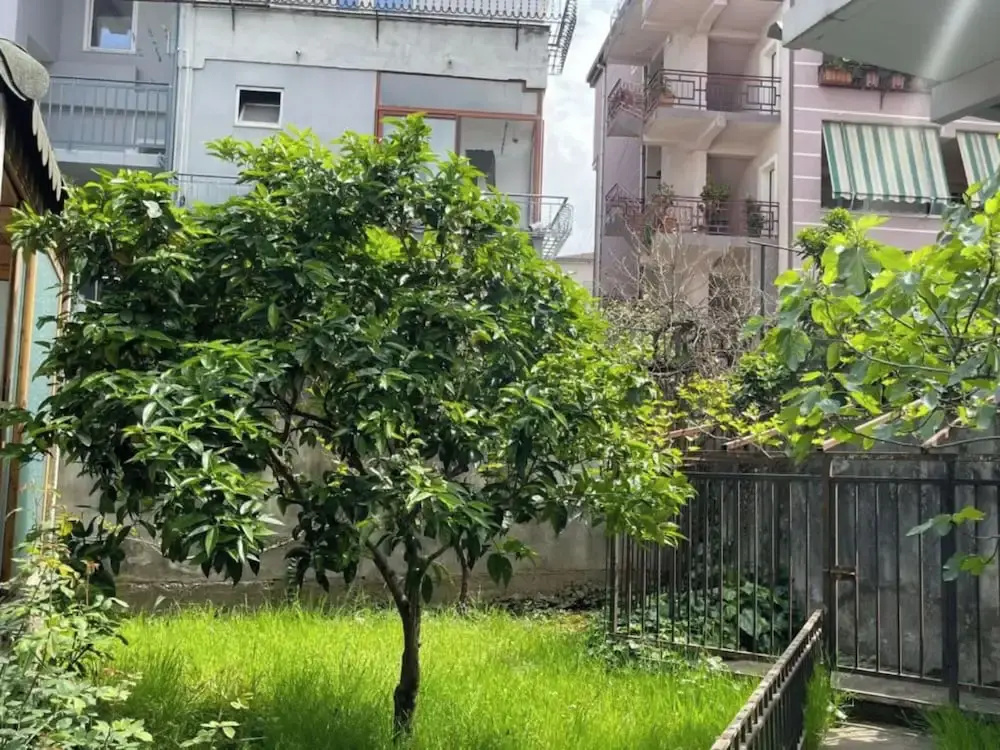 Kalpazo Tirana Vila 313