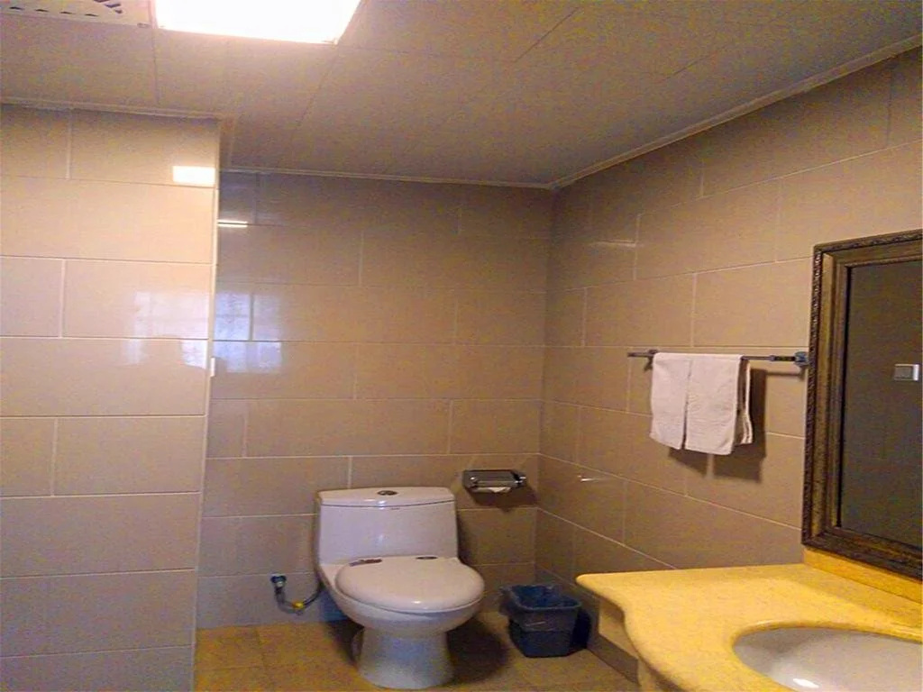 Starway Hotel Beijing Shunyi District Government - Général