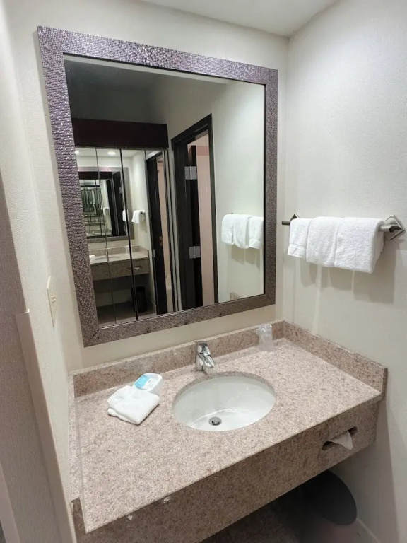 Heritage Inn & Suites St. Louis/Fenton, Trademark by Wyndham - Chambres