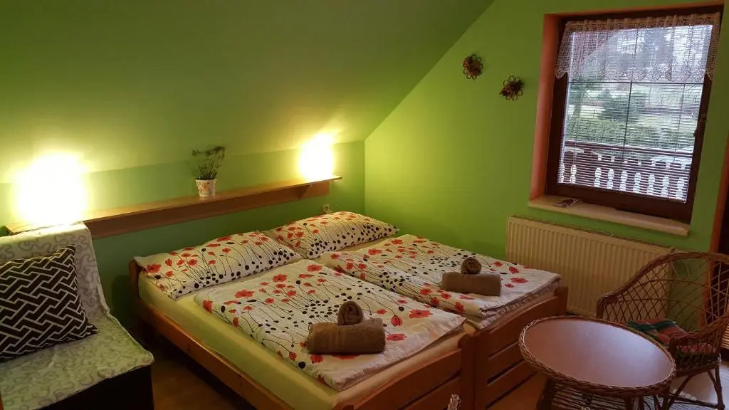 Standard Double room (full double bed)