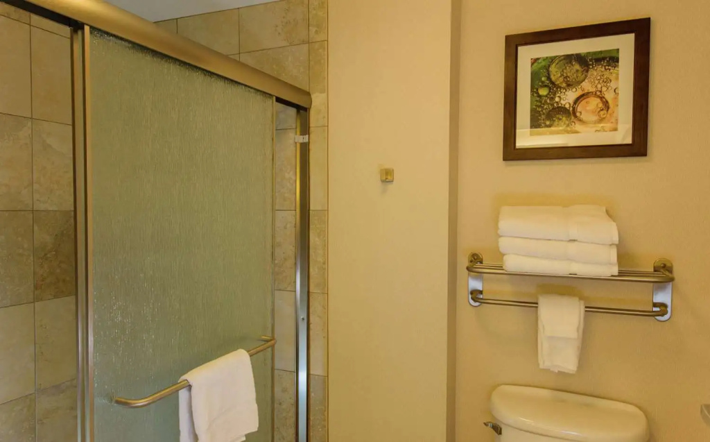 Homewood Suites by Hilton Phoenix Chandler/Fashion Center - Chambres