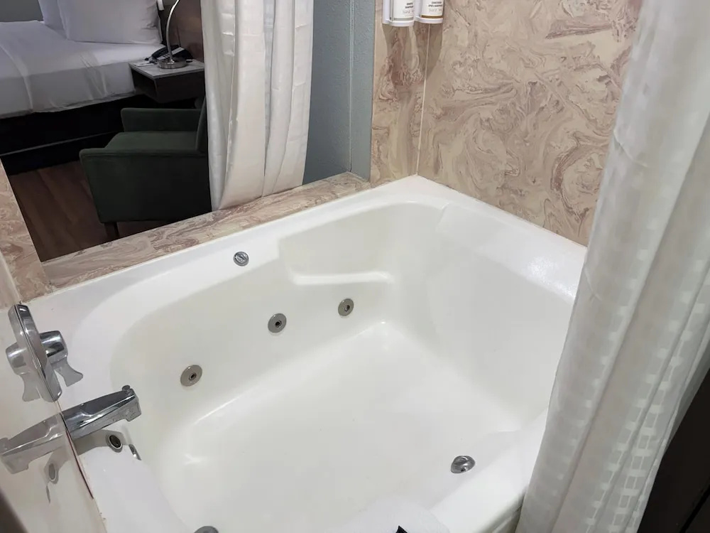 Wingate by Wyndham Livonia - Chambres