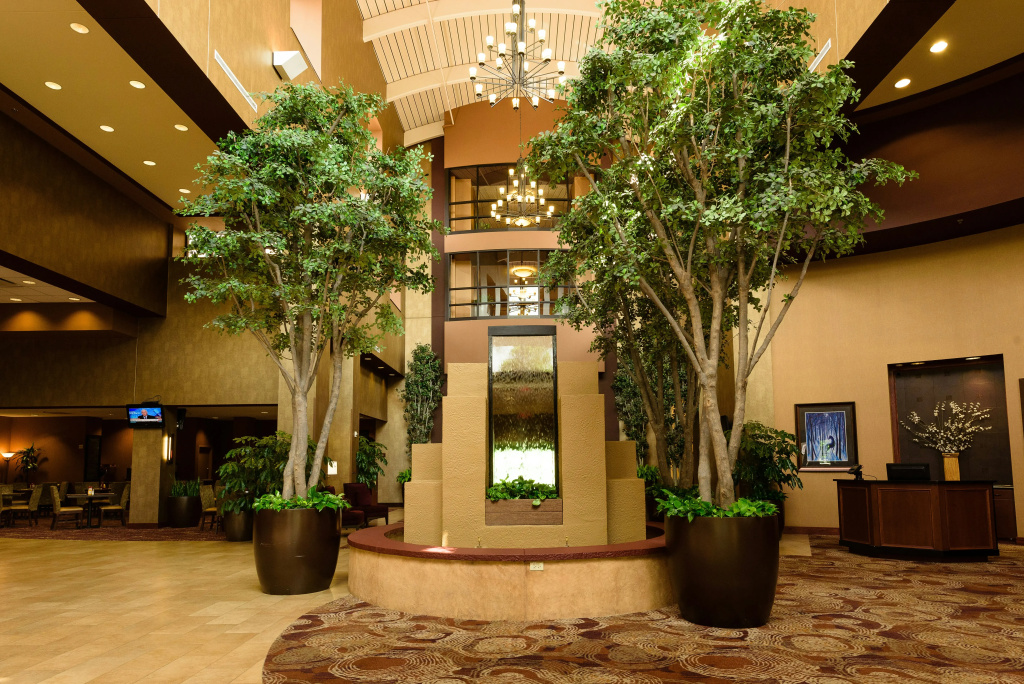 Embassy Suites by Hilton Minneapolis North - Général