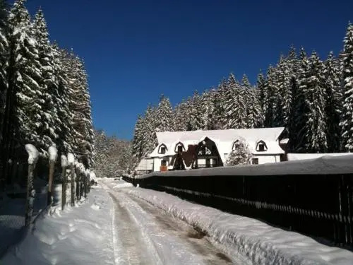 Cabana Harțagu