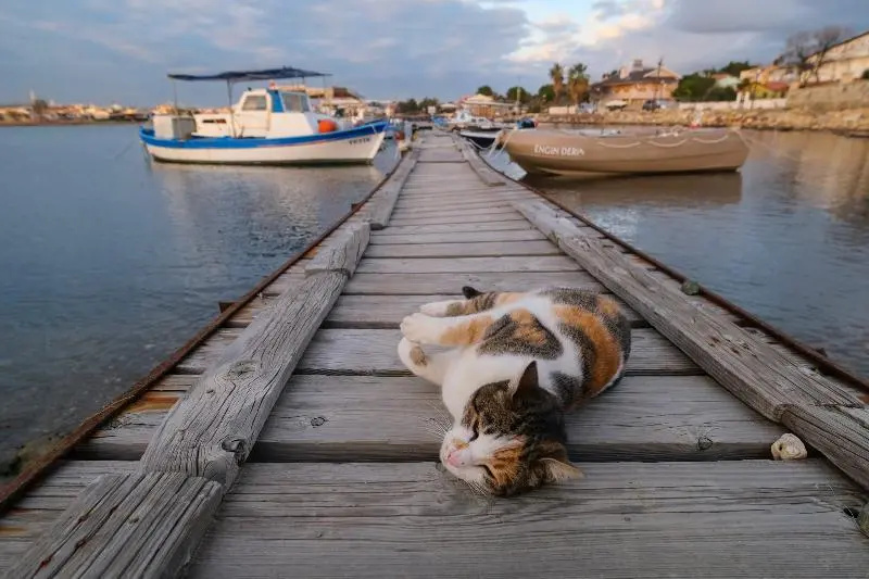 Beach & Waterfront