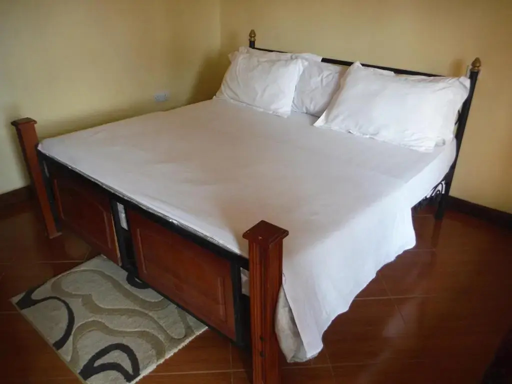 Deluxe Double room with balcony (full double bed)