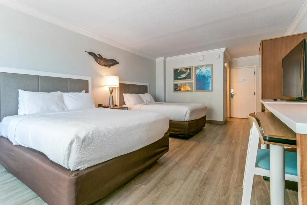 Dolphin Sands Clearwater Beach, an Ascend Collection Hotel - Général