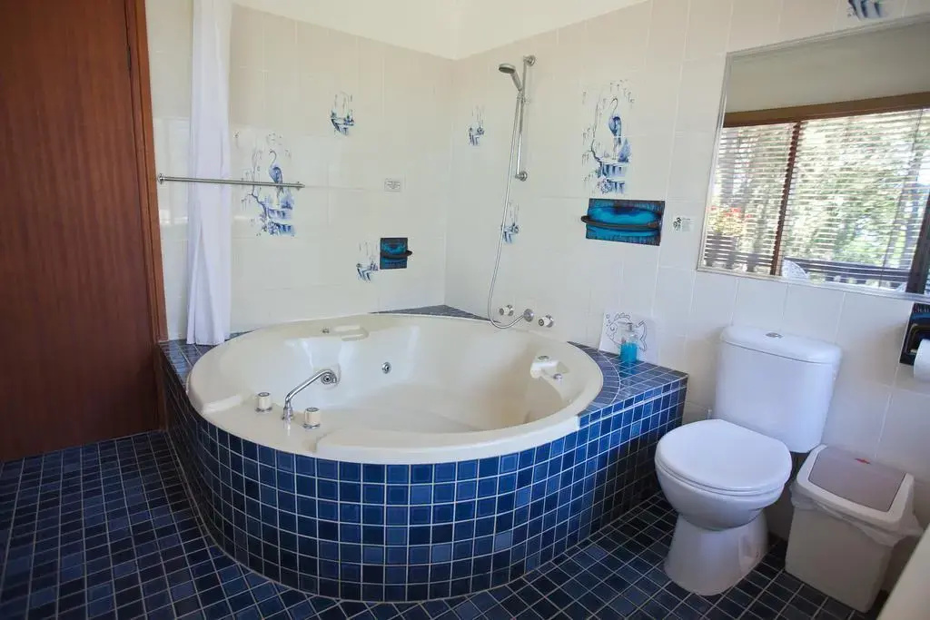 Chalet Swisse Spa - Général