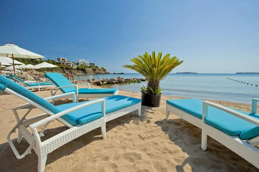 Beach & Waterfront