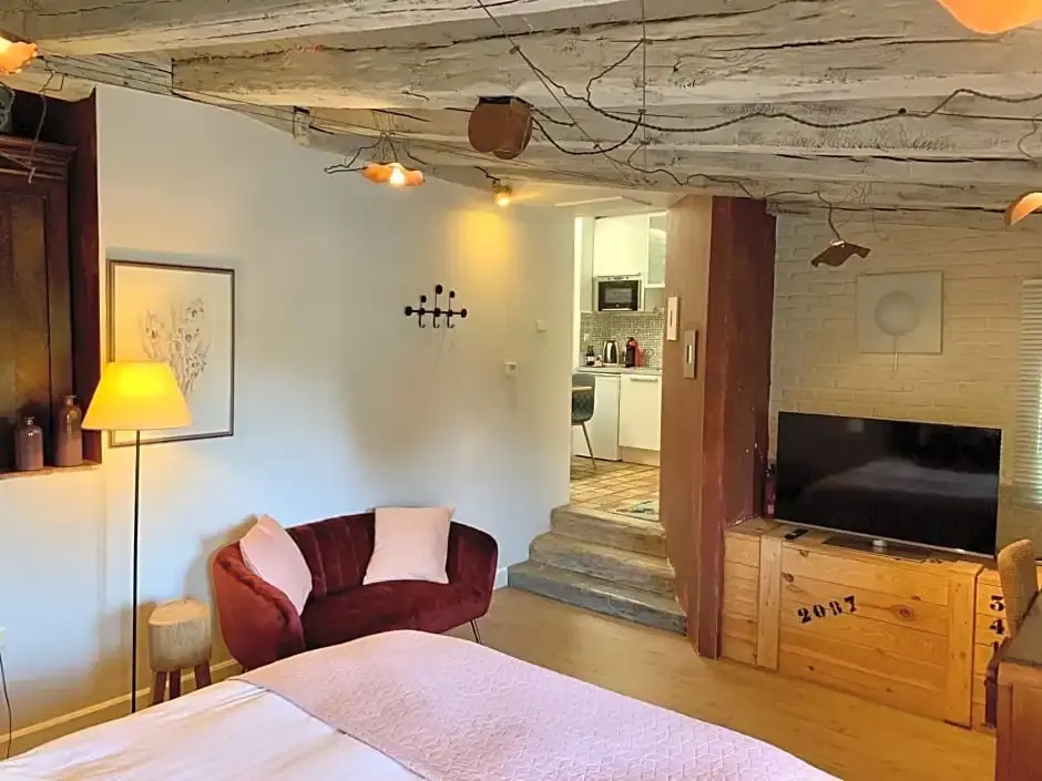 Luxury room