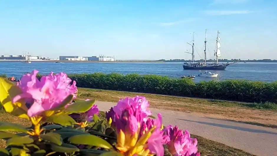 Beach & Waterfront