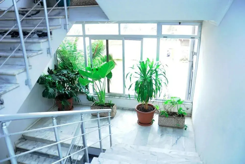 Ras Amba Hotel - Général