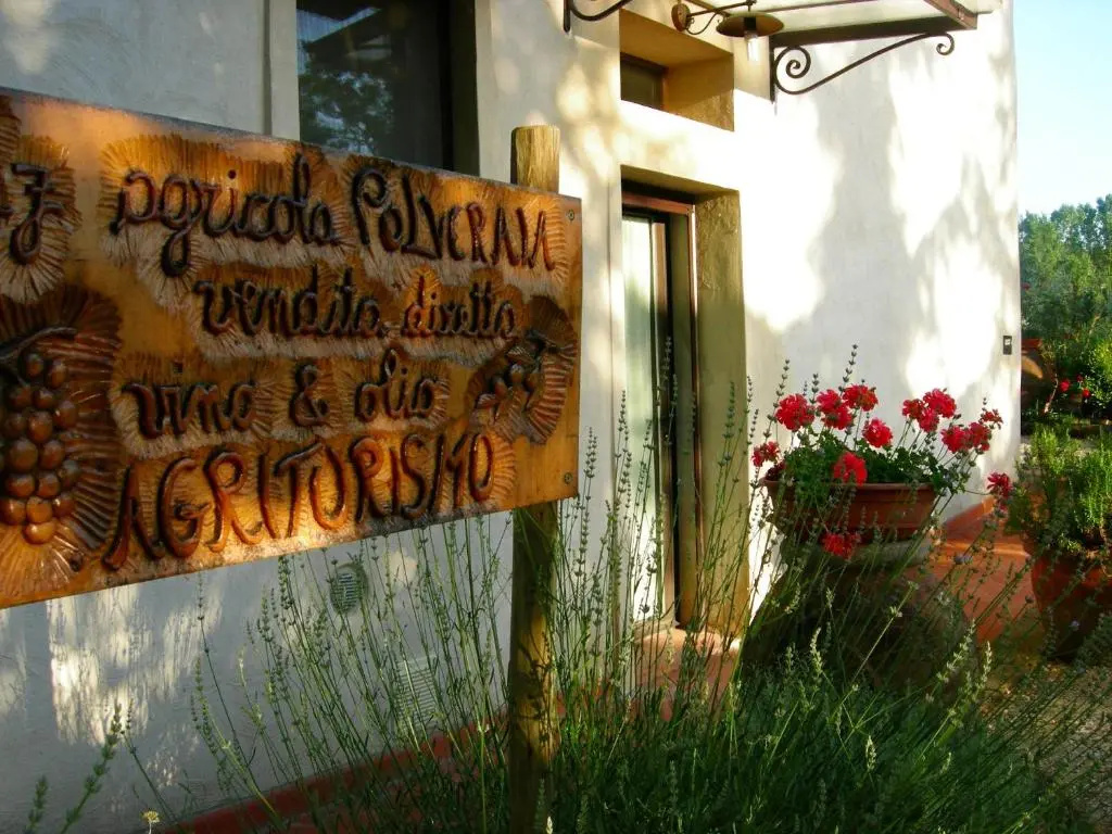 Azienda Agricola Polveraia