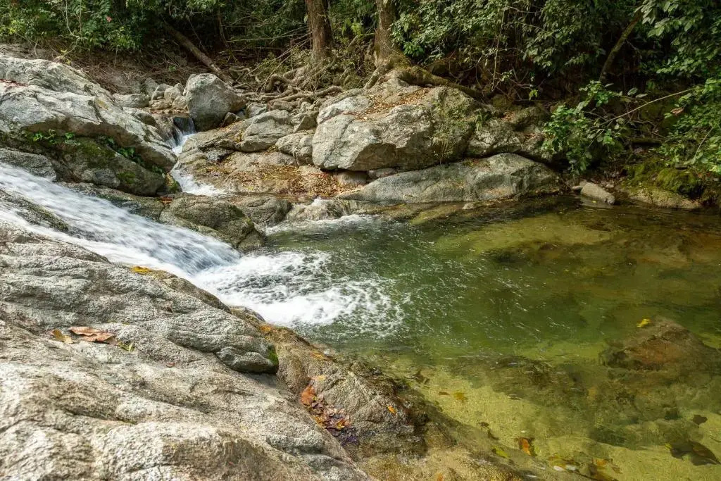 Tayrona Deep Forest Posadas