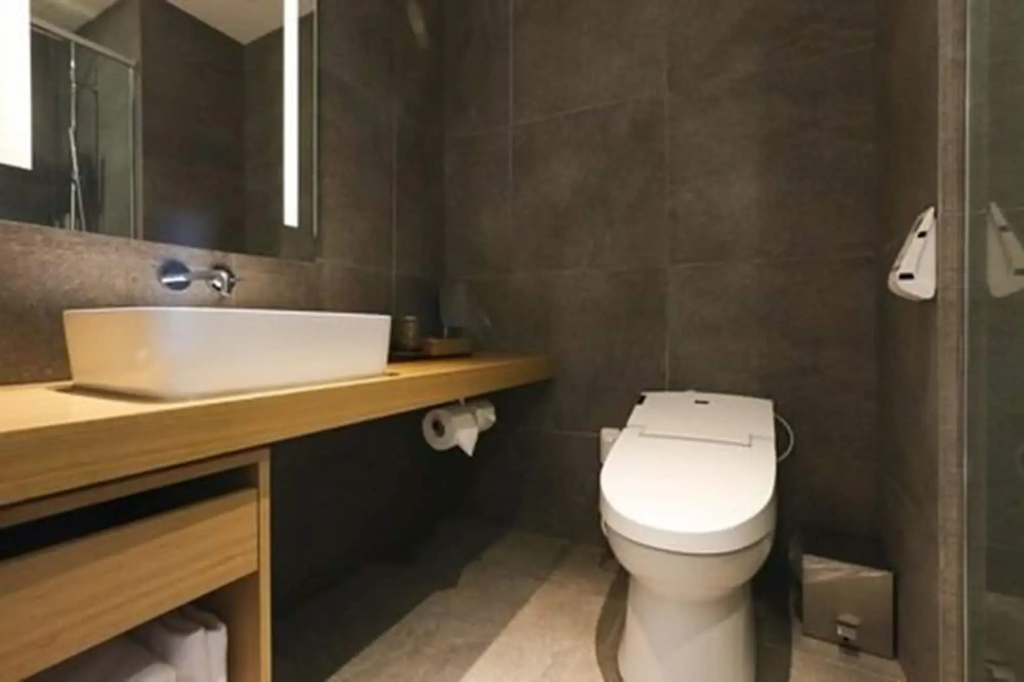 Borjomi Seoul Boutique Hotel - Général