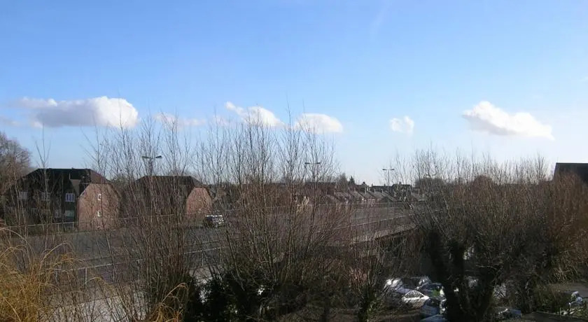 The Meadows — фото 5