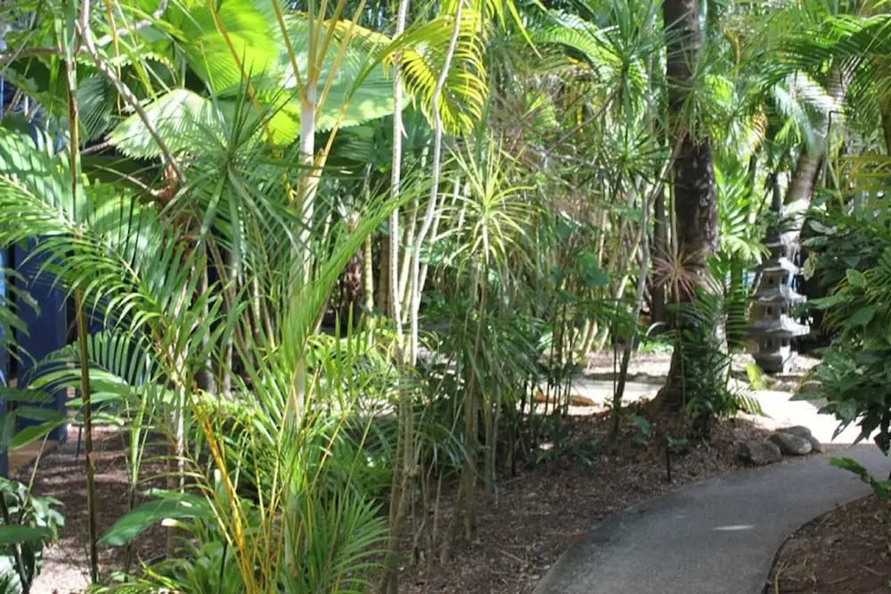Bohemia Resort Cairns - Chambres