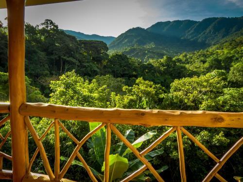 Отель Rio Chirripo Lodge & Retreat, фото 7