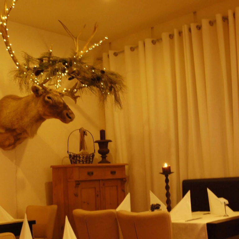 Hotel & Gaestehaus Will - фото 23