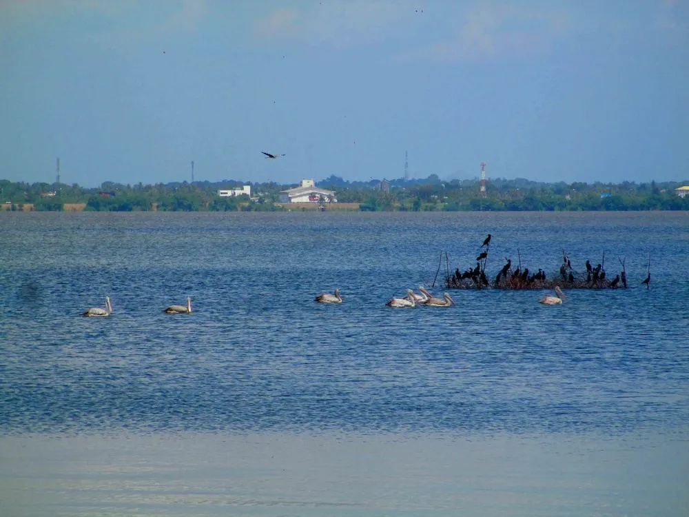 Nico Lagoon Hotel