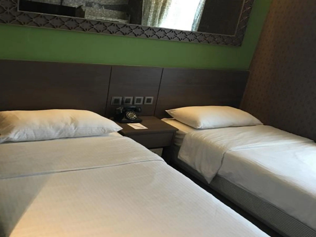 Standard Double room (twin beds)