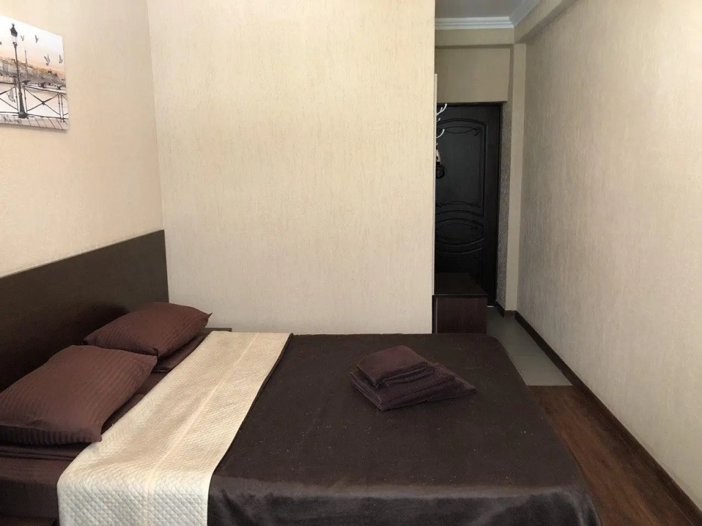 Standard Double room with mountain view (full double bed)