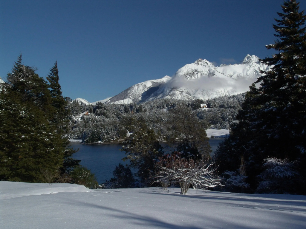 Hotel photo 38