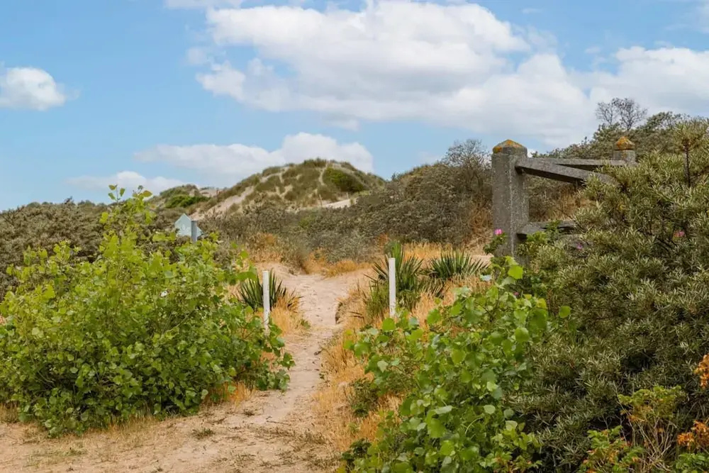 Apartment With Beautiful View of the Dunes