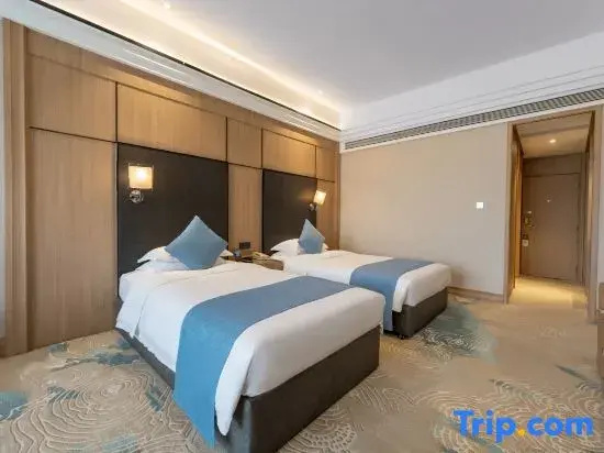 Executive Double room (twin beds)