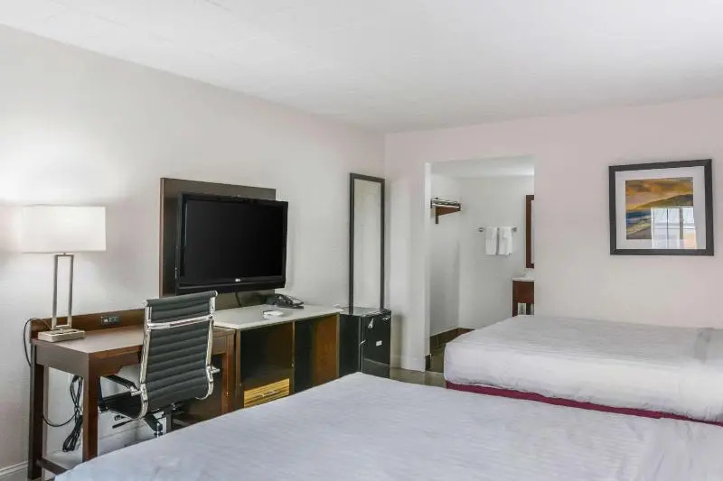 Standard Double room (twin beds)