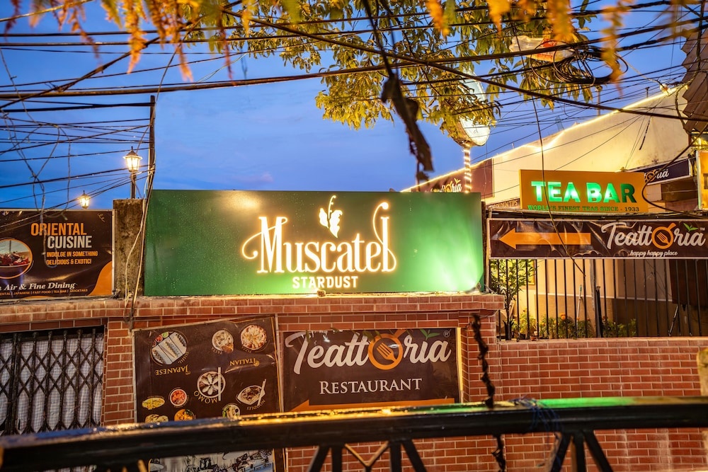 Muscatel Stardust - Chowrasta Mall Road — фото 1