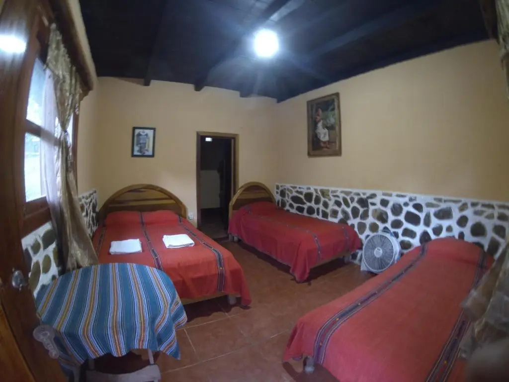 Standard Quadruple room with garden view
