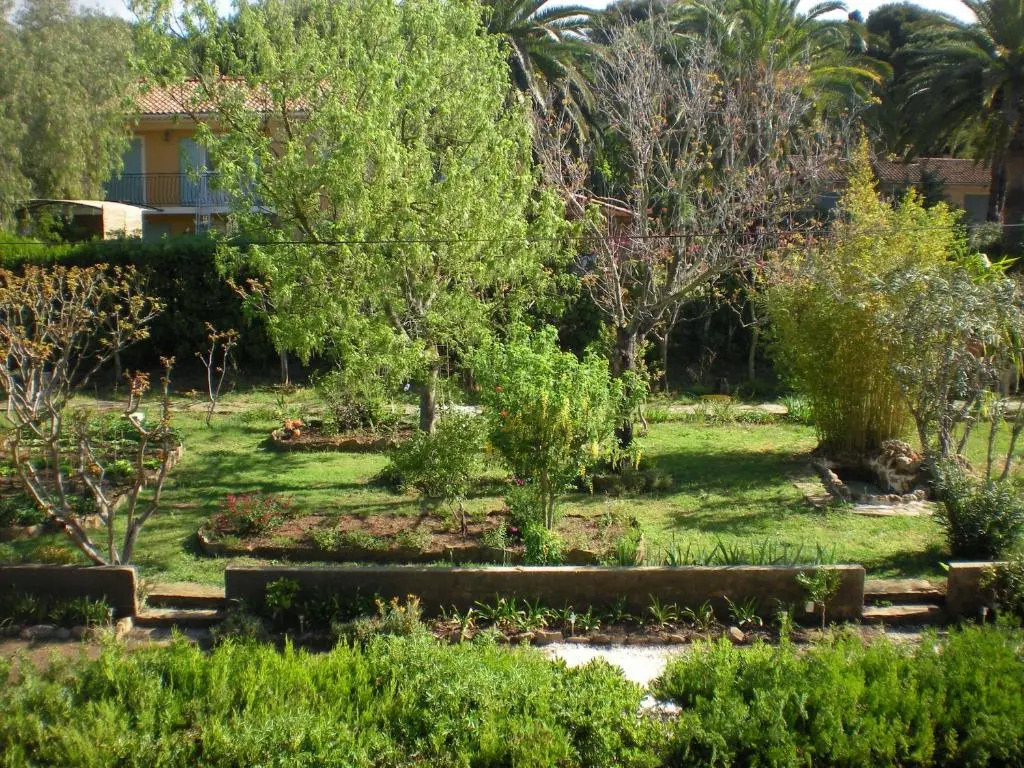 Hôtel Les Palmiers - Chambres