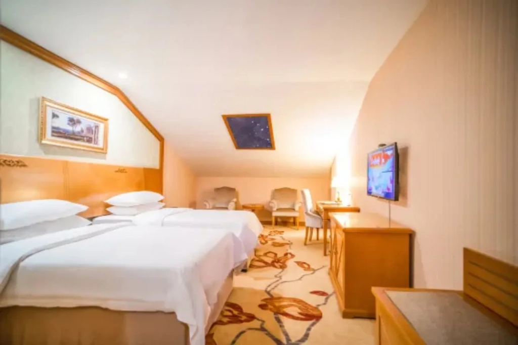 Vienna International Hotel - Général
