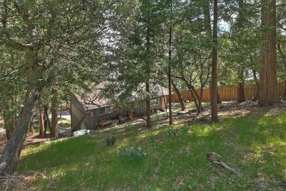 The Lazy Bear Cabin - For 6!