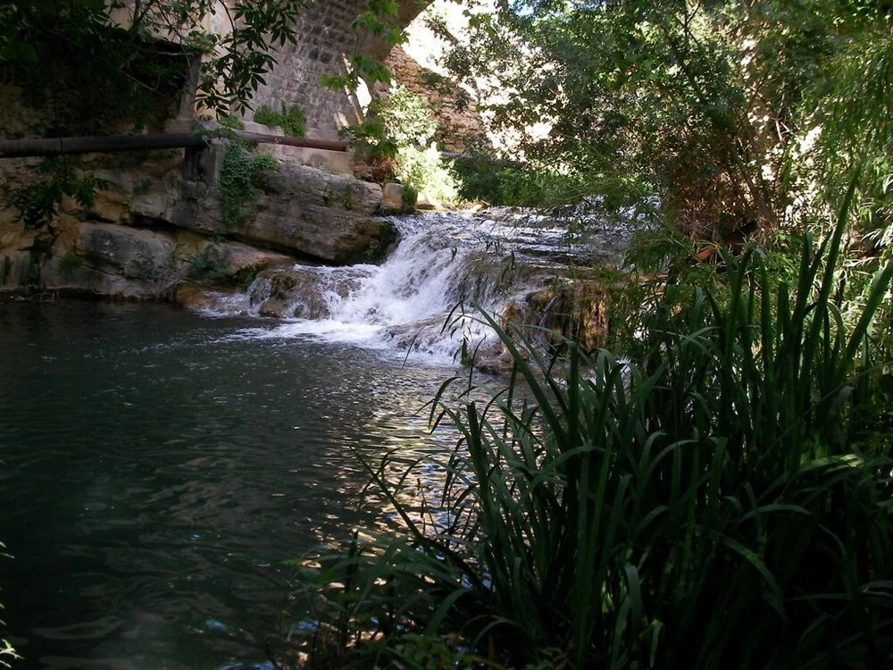 Le Vieux Moulin
